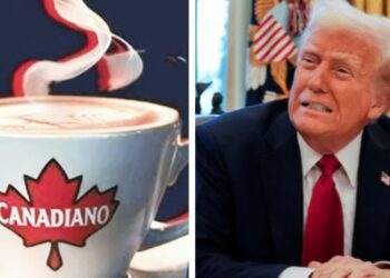 Trump, Canadiano