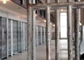 Trump Administration Admits to Deporting 'Many' Non-Criminals to CECOT prison