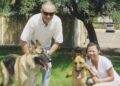 SW German Shepherd Rescue