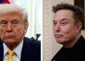 Trump, Musk