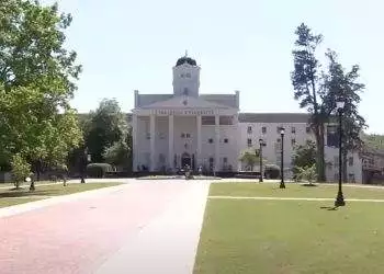 Limestone University