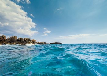 Shark attack in Israel