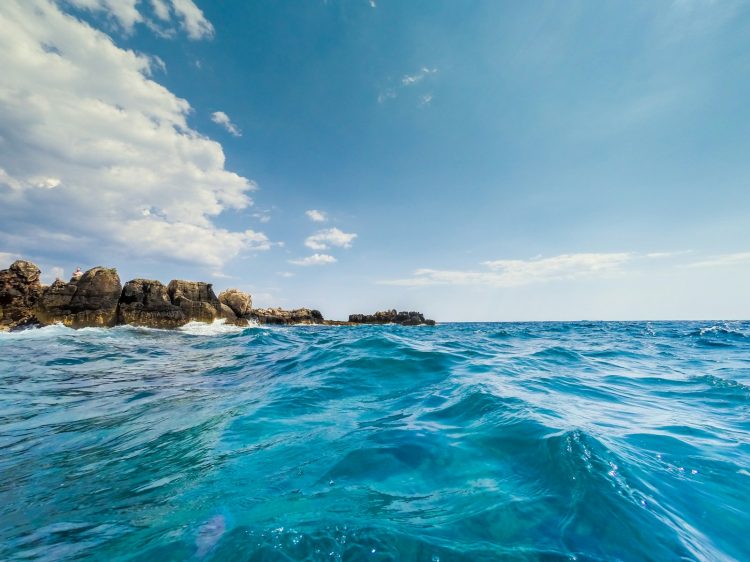 Shark attack in Israel