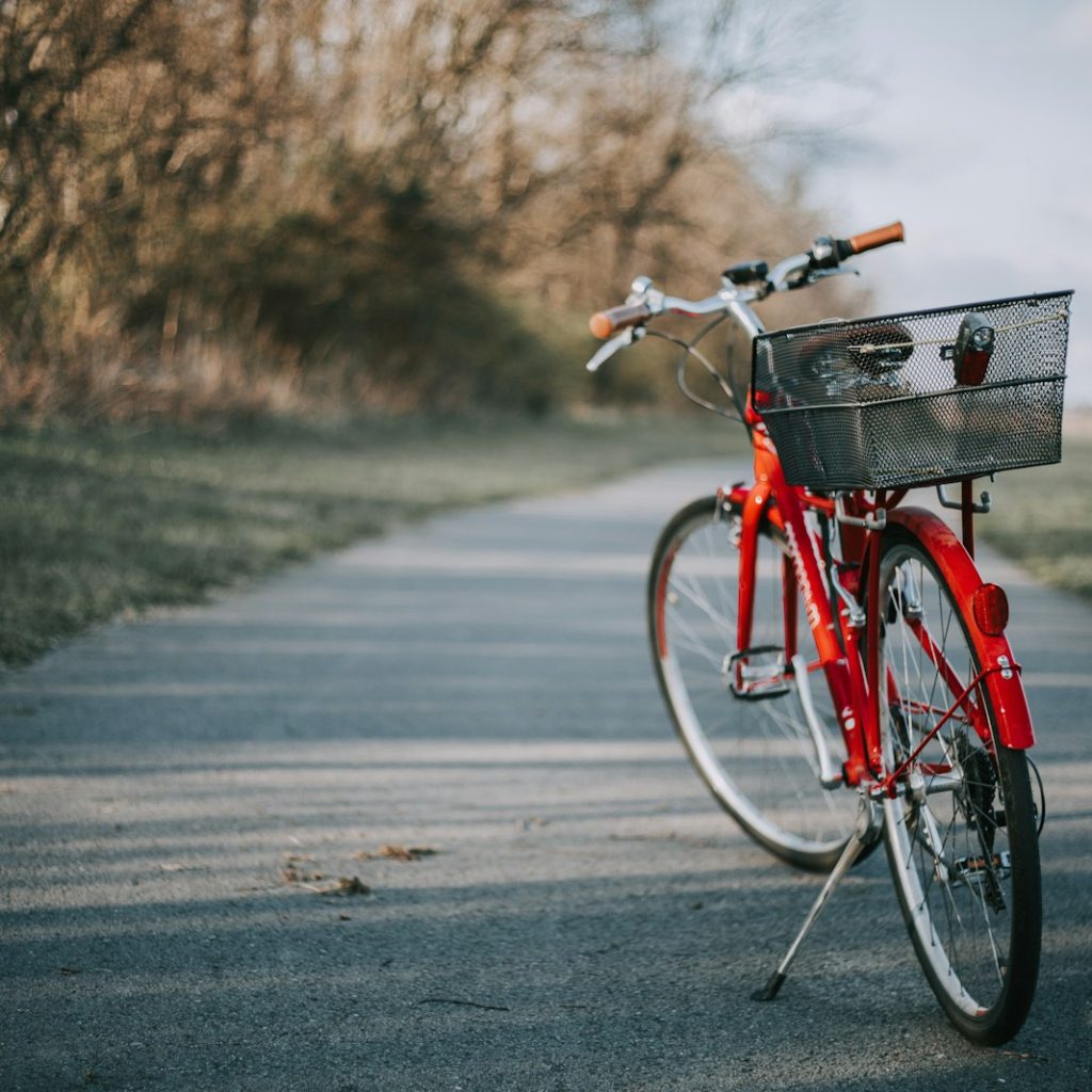 red bicycle on road near trees