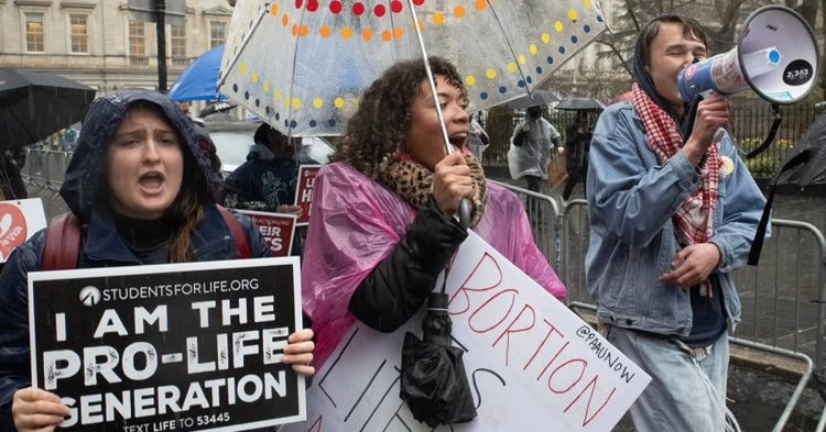 prolive-activist-punched