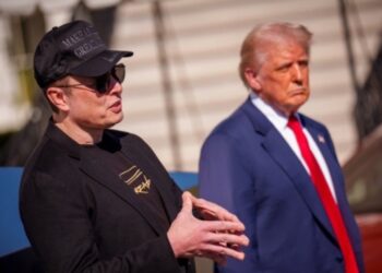 Elon Musk, Donald Trump
