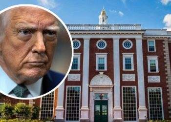 Trump, Harvard