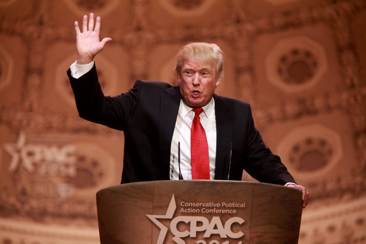 Interviewers cold-call Donald Trump