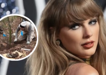 Taylor Swift, human remains