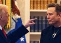 Trump, Elon Musk