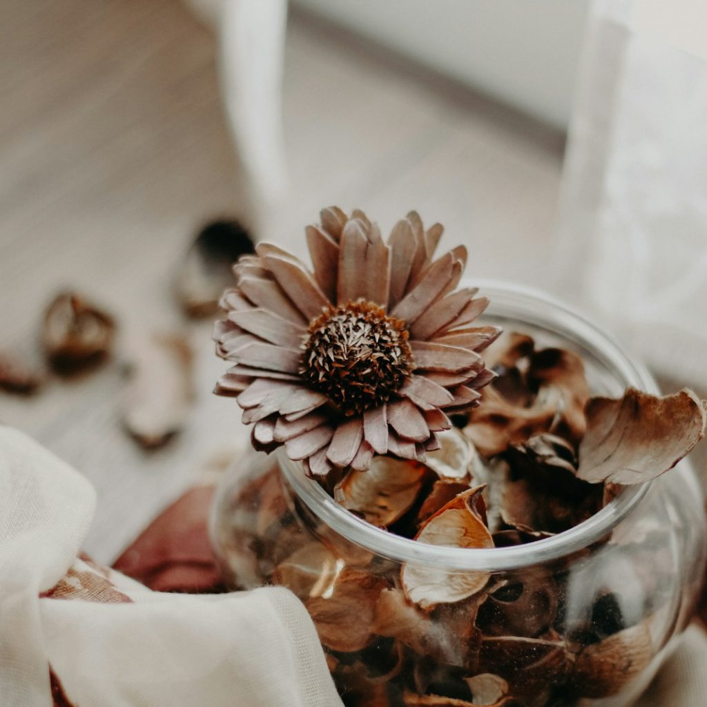 brown petaled flowers in vase inside room at daytime