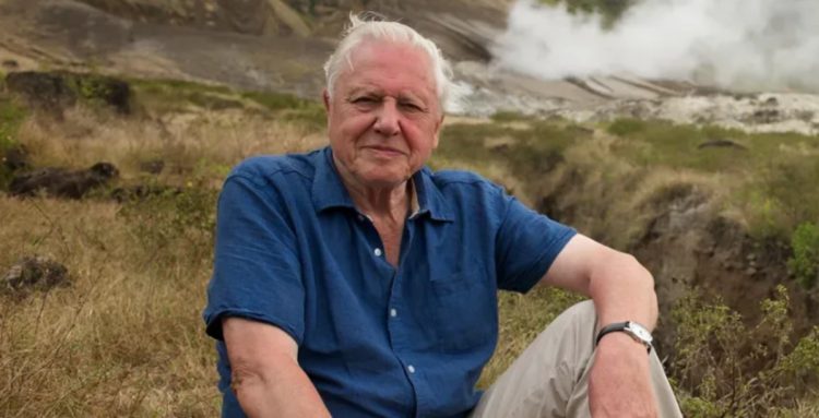 David Attenborough