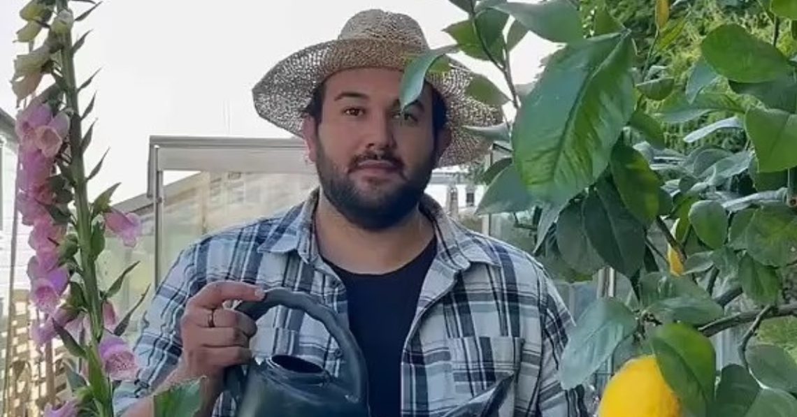 joes-garden-on-tiktok-for-gardening-tips
