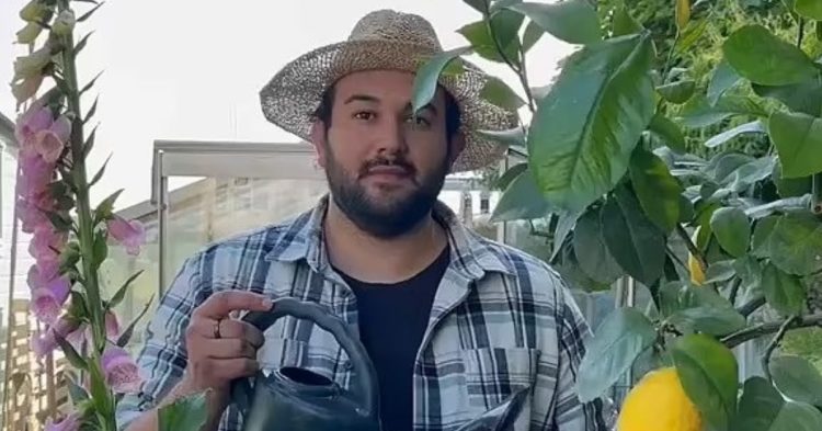 joes-garden-on-tiktok-for-gardening-tips