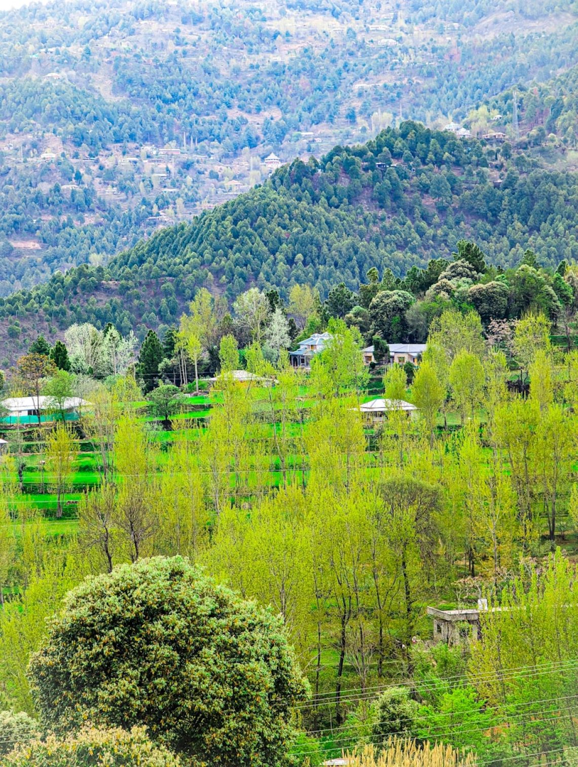 Terror attack in Kashmir