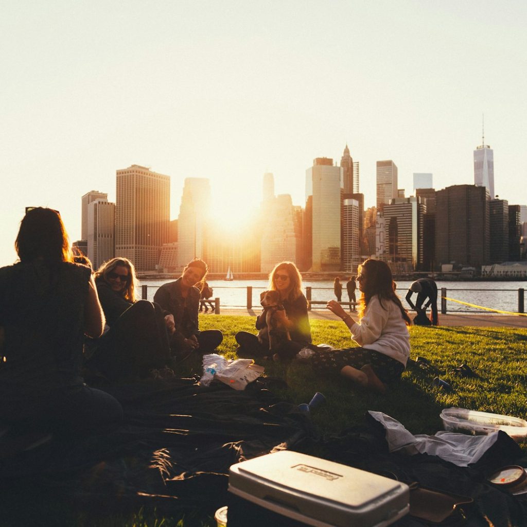 people sitting on grass field
