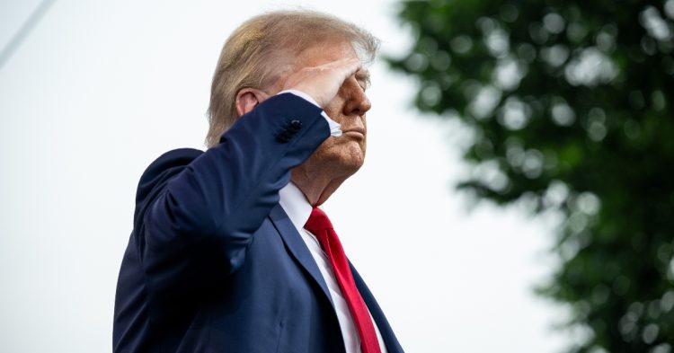 Donald Trump doing a salut