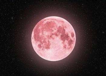 Strawberry Moon