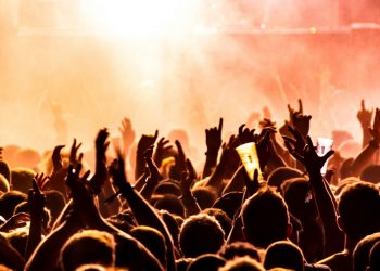 Silhouette of people at music festival
