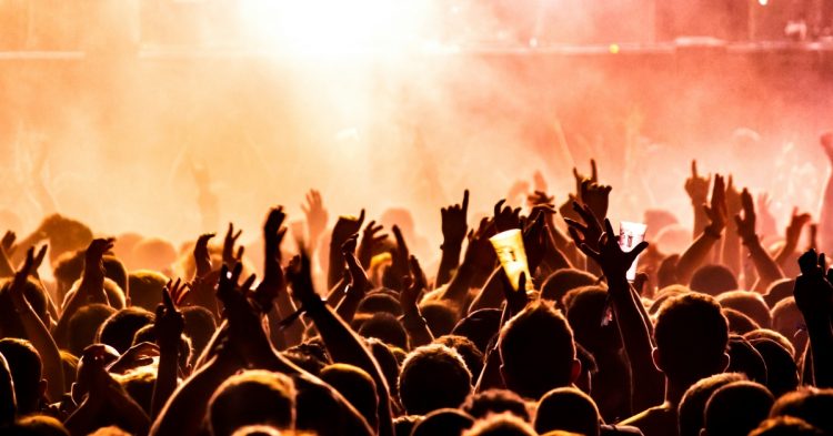 Silhouette of people at music festival