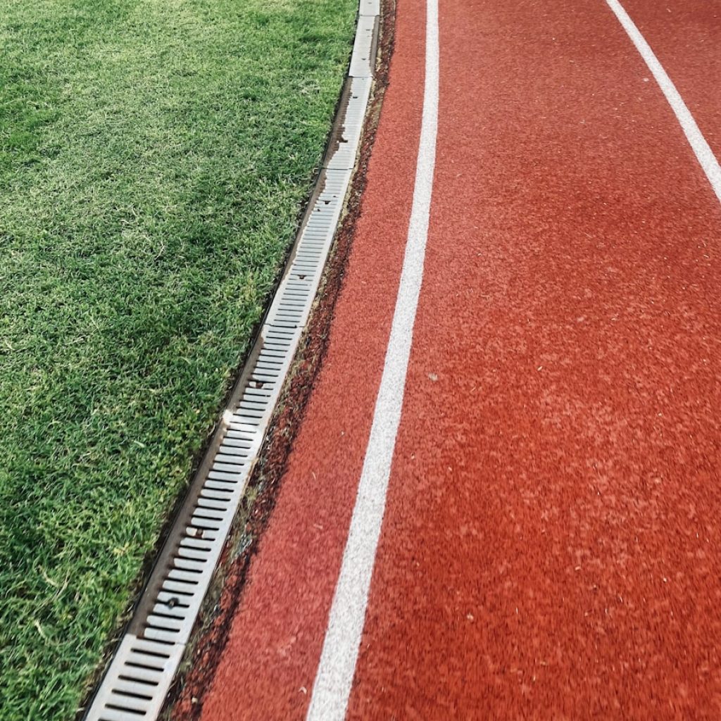 a close up of some grass