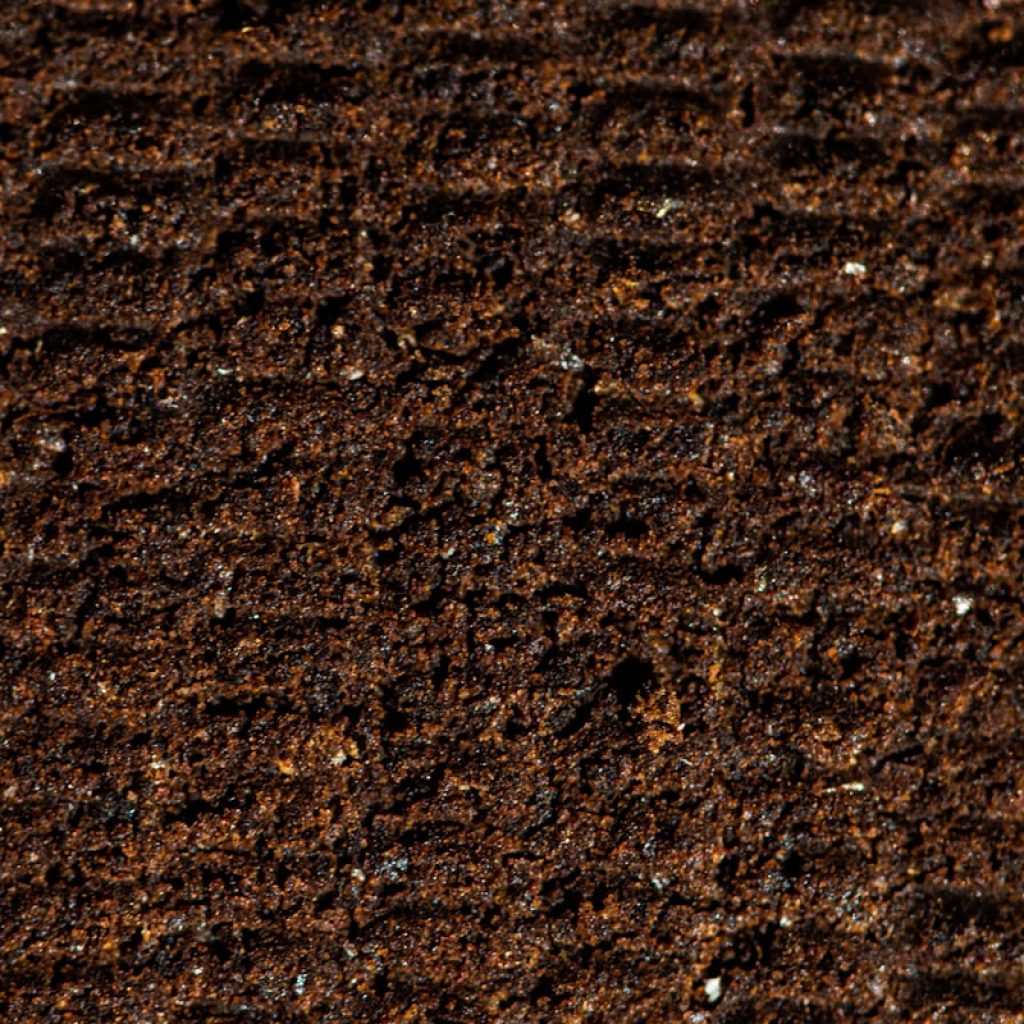 brown and black area rug