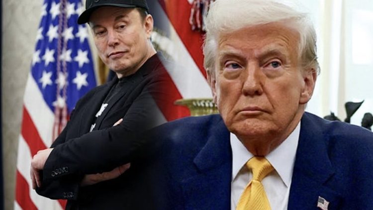 Elon Musk, Donald Trump