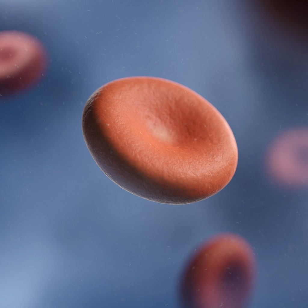 a group of red blood cells in a vein