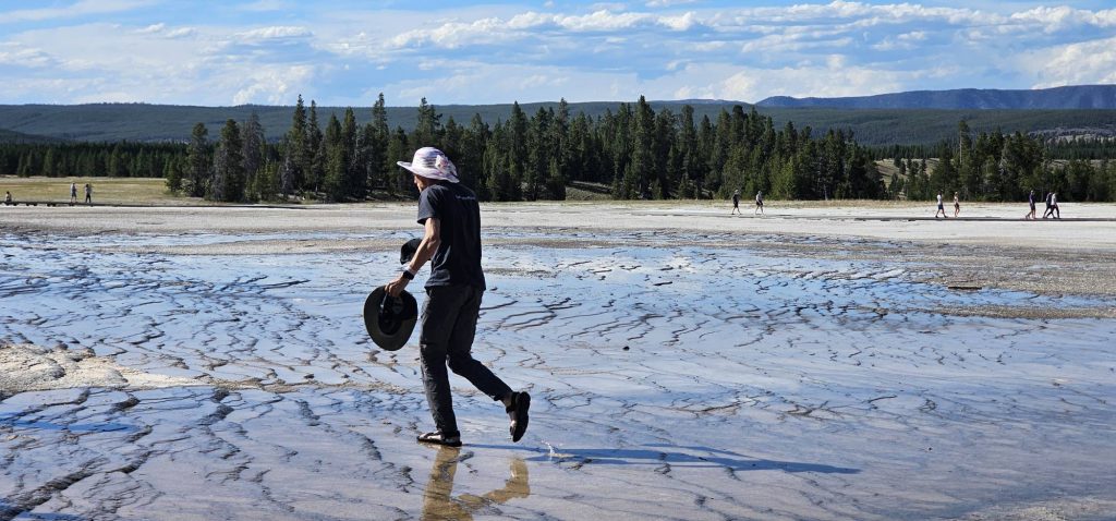 Man walking on off-limits zone in Yellowstone