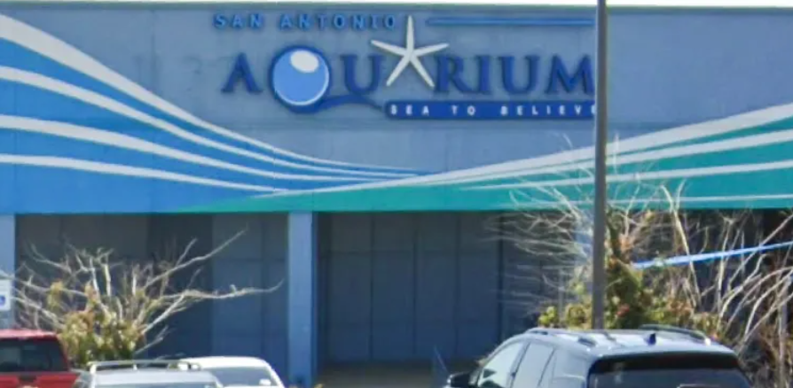 San Antonio Aquarium